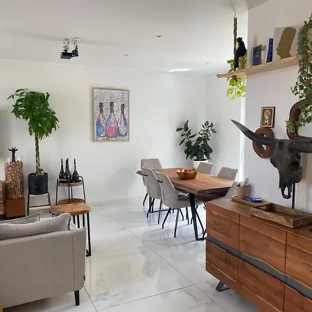 Maison Lyon 8 Jardin Parking Independant Sur Demande فيلة