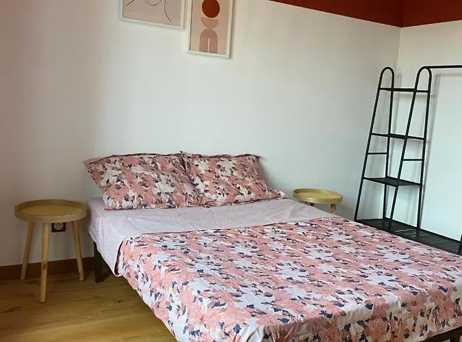 Maison Lyon 8 Jardin Parking Independant Sur Demande * Bron